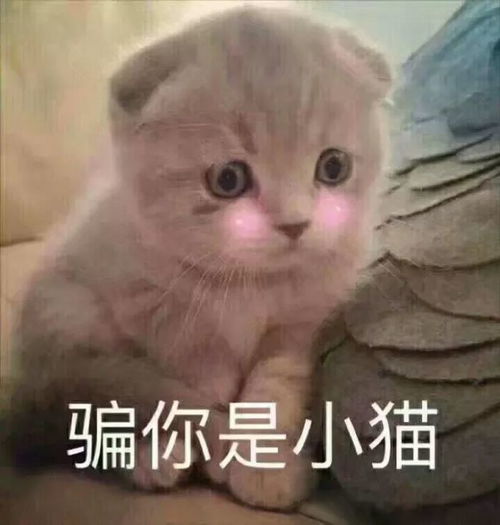 渐变金箔,简单却很美