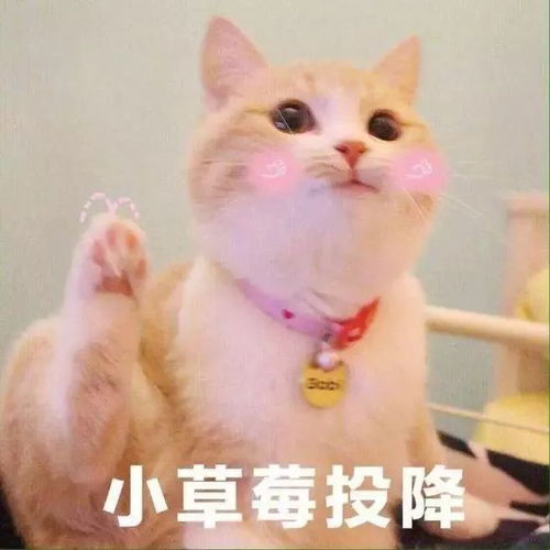 骤降10c春节前的天气有点刺激还有2个坏消息......