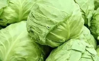 卷心菜表情包停播
