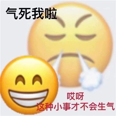 超级有趣emoji双面表情包大全