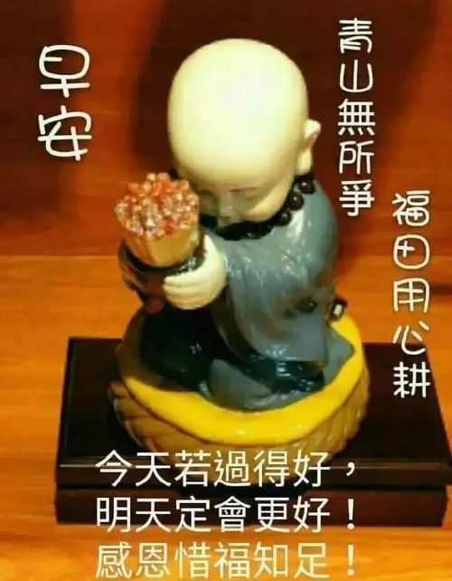 微信早上聊天不用打字的专用有趣表情包微信早上聊天打字动态图片