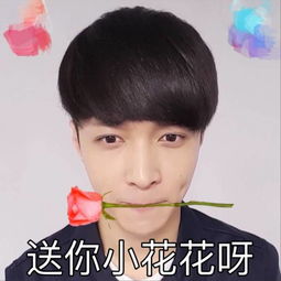 张艺兴表情包