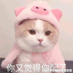 爆笑段子女友下班回来,啪了我一嘴巴子哥们