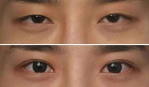给我寄头第四期,找对自己的路线是多么重要啊