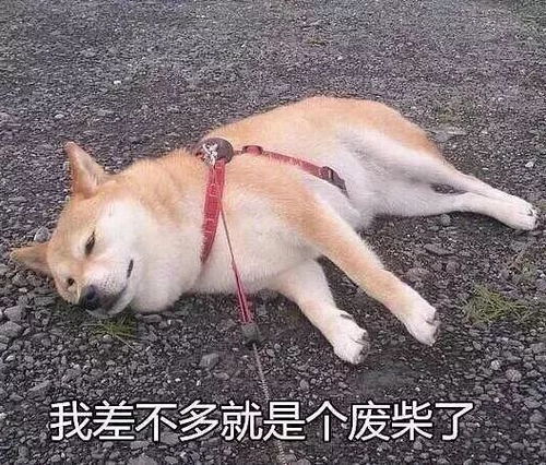 瑟瑟发抖冷空气马上到滨州