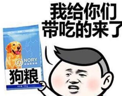 爆笑刚才闺蜜找我诉苦,相亲失败了理由是