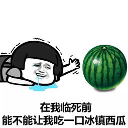 表情包出门两分钟,出汗两小时