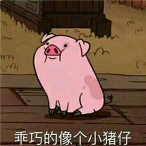 问题来了啥是杀猪盘啊上