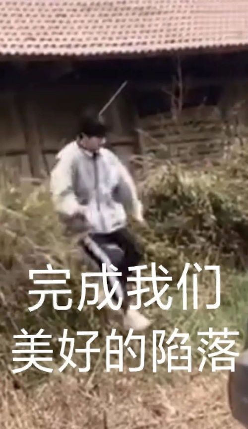 表情包优秀的鹤儿们做的易烊千玺前空翻表情包,哈哈哈太逗了