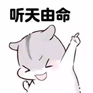 当你决定不再在乎的时候,生活就好起来了