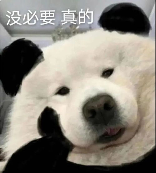 龚俊翻车小花恋爱脑上头想嫁大叔胡先煦被棋魂利用刘浩存父母赖账