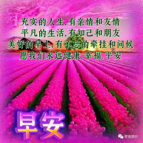 晚上好温馨祝福图片,晚上好暖心问候祝福语大全,晚上好表情图片,愿您有个美好夜晚