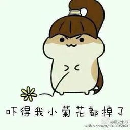 白球鞋你的鞋柜里永远还差一双