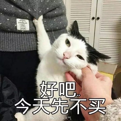 12月广东人还在穿短袖不过c位冷空气即将登场