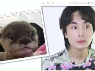 赵丽颖发文粉丝道歉李承铉被采访然后模仿表情包