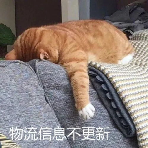 双十一尾款人表情包加油尾款人表情包大全