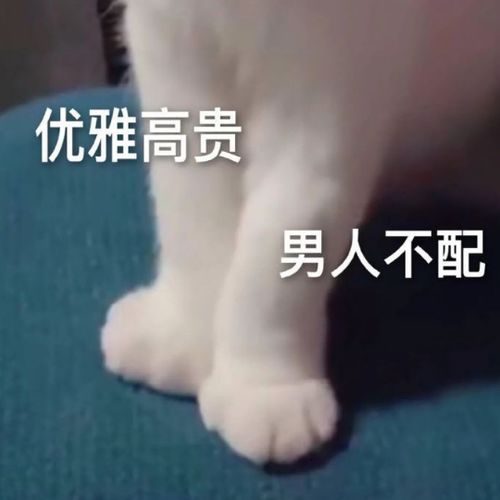 表情包小脚一趟,与我无关