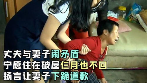 丈夫与妻子闹矛盾,宁愿住在破屋仨月也不回,扬言让妻子下跪道歉