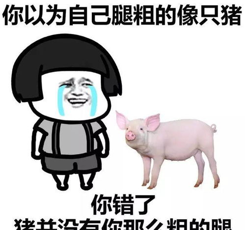 说啥大实话表情包腿部吸脂