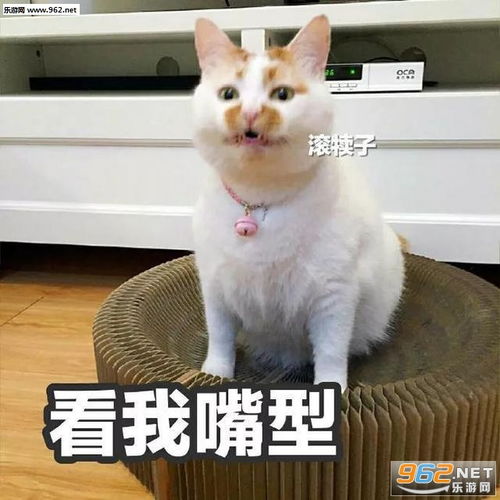 一天也就困个24小时图片看我嘴型滚表情包下载乐游网游戏下载