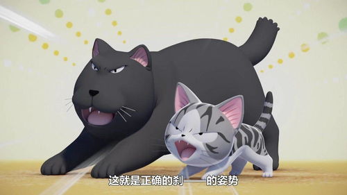 甜甜私房猫俩小猫互相吼叫,就差打起来,吃瓜了吃瓜了