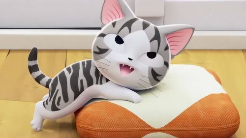 甜甜私房猫小奇,你去哪里了家人都好为你担心呢