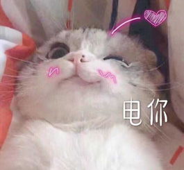 最讨厌王者荣耀带妹时什么样的举动
