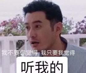 黄晓明的霸道总裁语录,用英文怎么表达