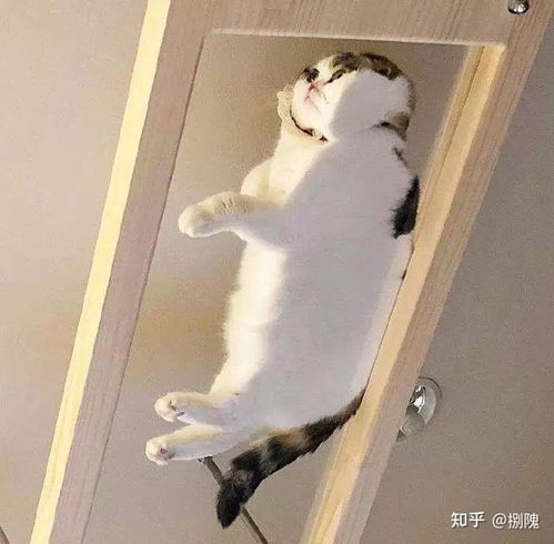 藏在山里的云