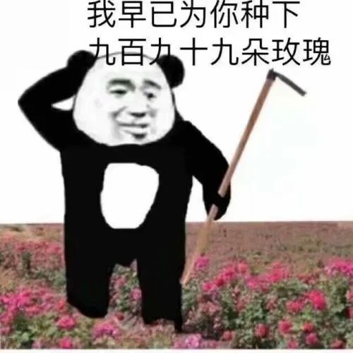 熊猫头动态表情包去找你的路上