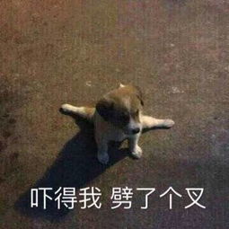 你那么好看,一定很贵吧