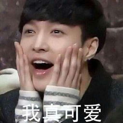 张艺兴表情包图片大全艺兴