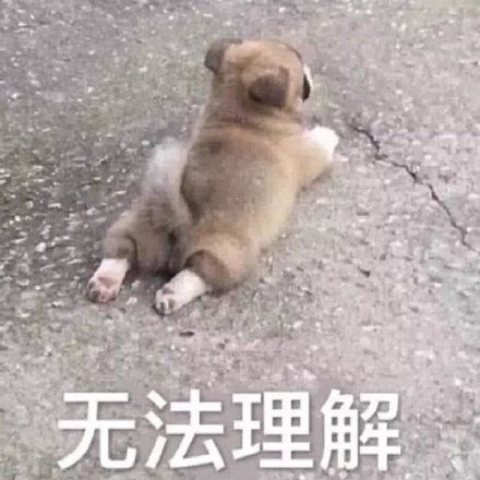 无法理解表情包无法理解微信表情包无法理解qq表情包发表情fabiaoqing.com