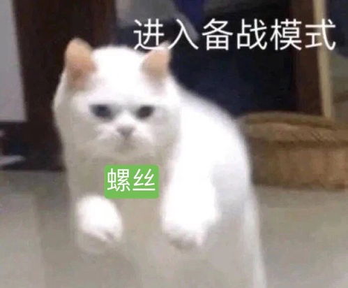 建设专组螺丝wiki百科舟国螺史