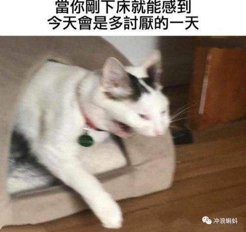 友情提示现实生活中,没人要你,想想为什么网上却有人要你
