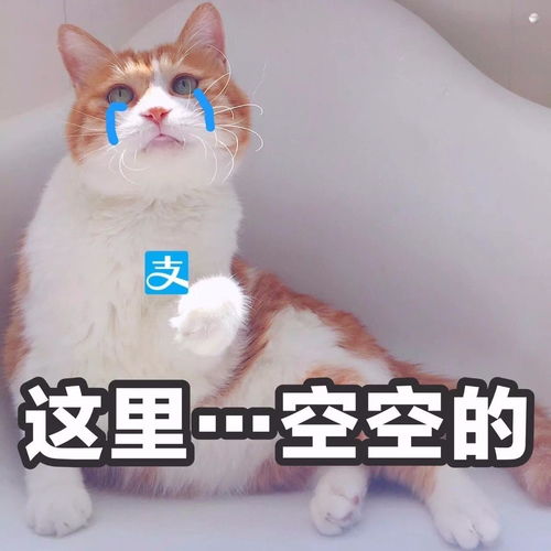 五大网红美容仪,到底是护肤神器or坑钱噱头