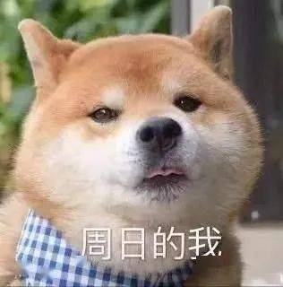 周一综合症真是让人烦烦烦