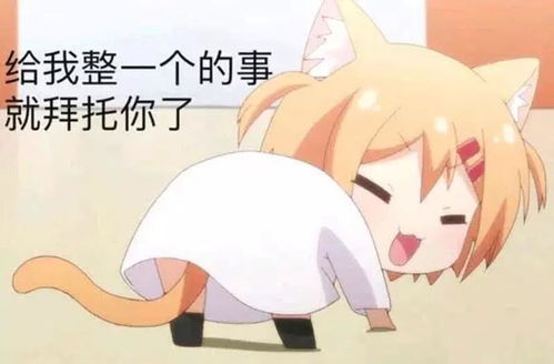 阴阳师您的神选之子礼包已到账,请注意查收