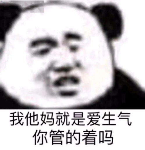 斗图必备表情包省省吧老男人