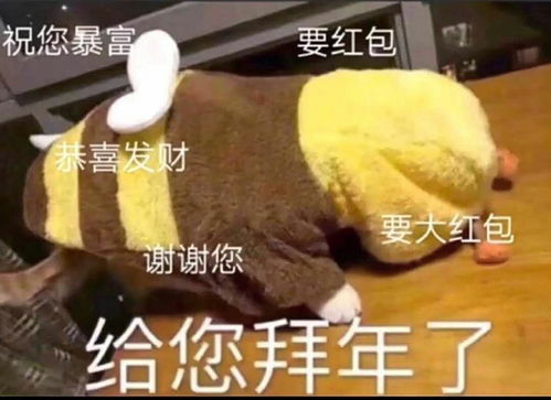 拜年表情包搞笑幽默鸡年