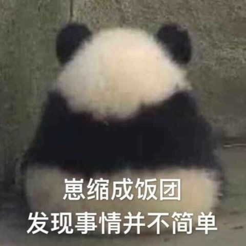 熊猫举手表情包开心笑话
