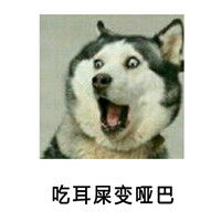 哈士奇惊讶的表情图片搞笑表情包盘点被别人从小骗到大的话