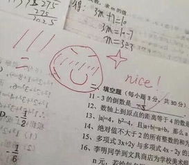 班上来了个可爱的95后女老师,给学生批改作业,全是表情包