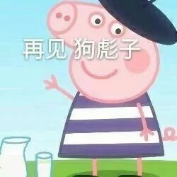 要不你去当摄影师第624期羁绊网