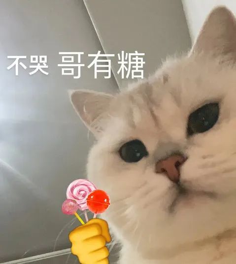 表情包不哭,哥有糖