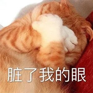 可爱的表情包没人喜欢我