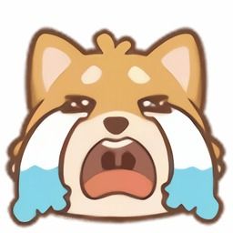 哔哩哔哩专栏