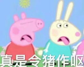 乐游网单机游戏