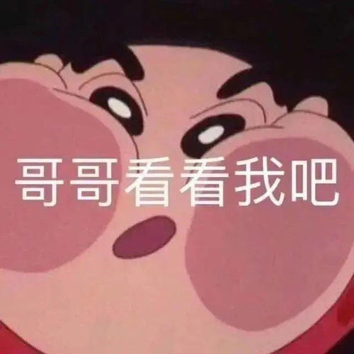 舔狗必备表情包今天该舔谁好呢