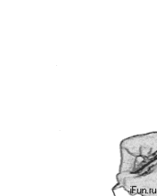 画一只手